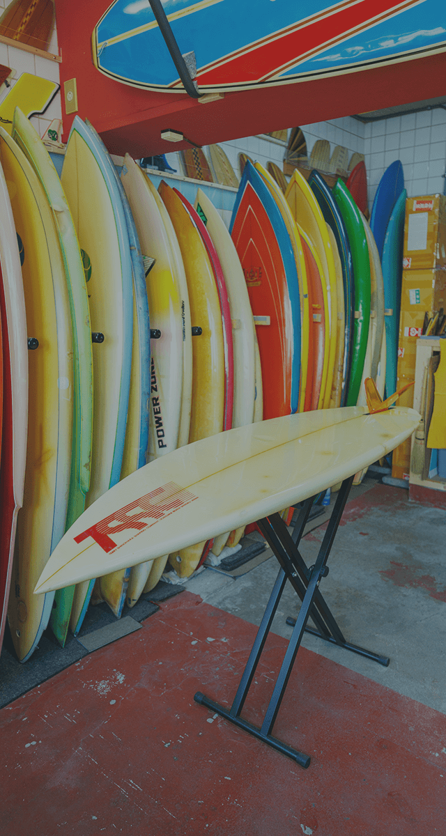 sp_bnrhalf_charm_para_bg